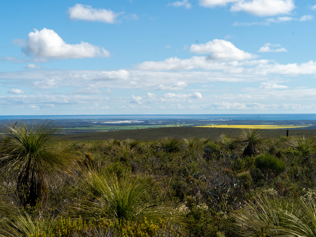 Am Horizont der Indische Ozean, gelbe Rapsfelder und vorne der Lesueur NP
