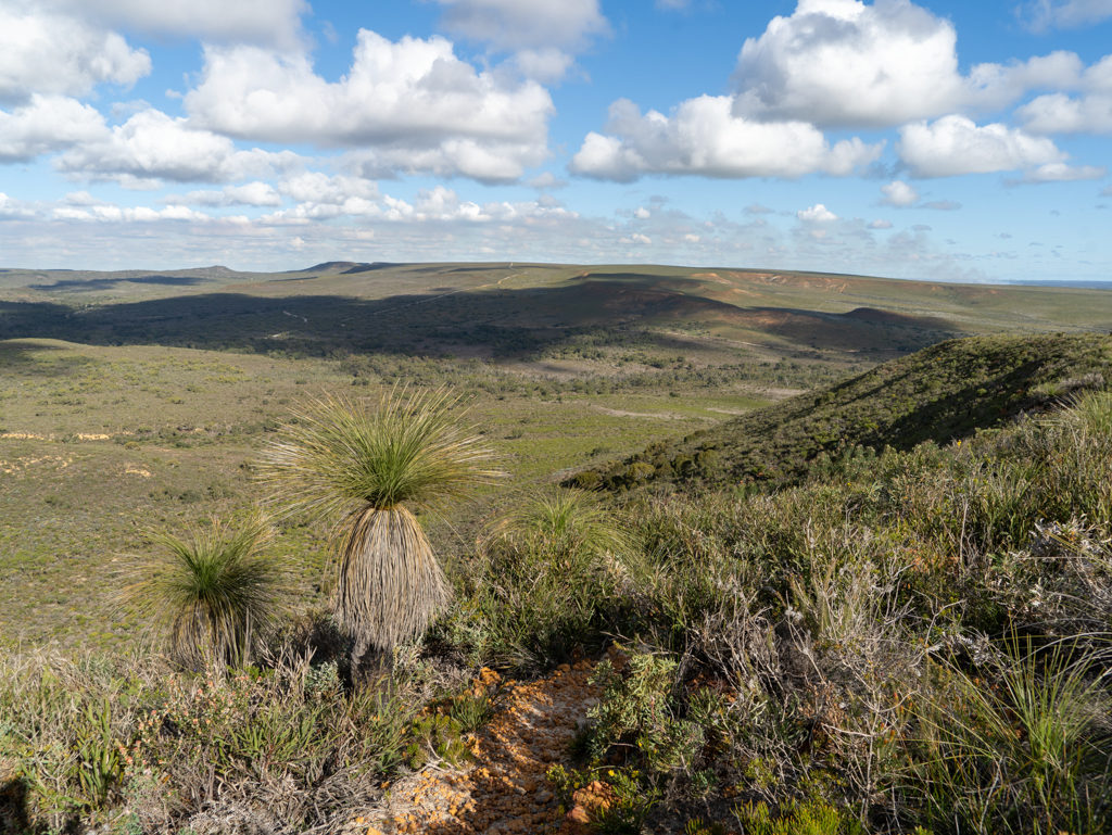 Die weite Landschaft im Lesueuer Nationalpark