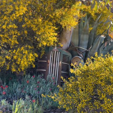 Im Herzen von Western Australia’s Wildflower Country