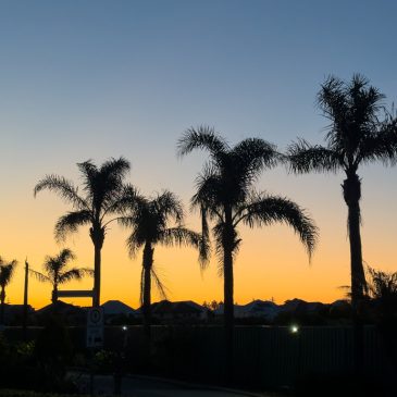 Zurück in Fremantle
