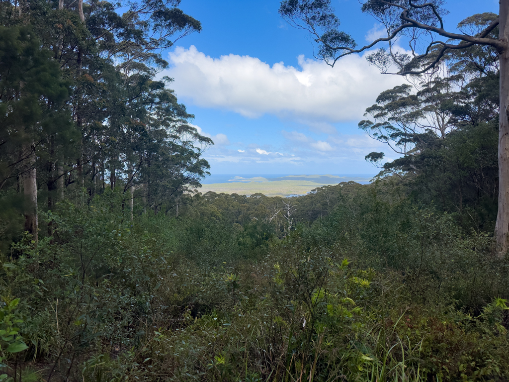 Blick vom Hilltop Lookout auf das Umland bis aufs Meer