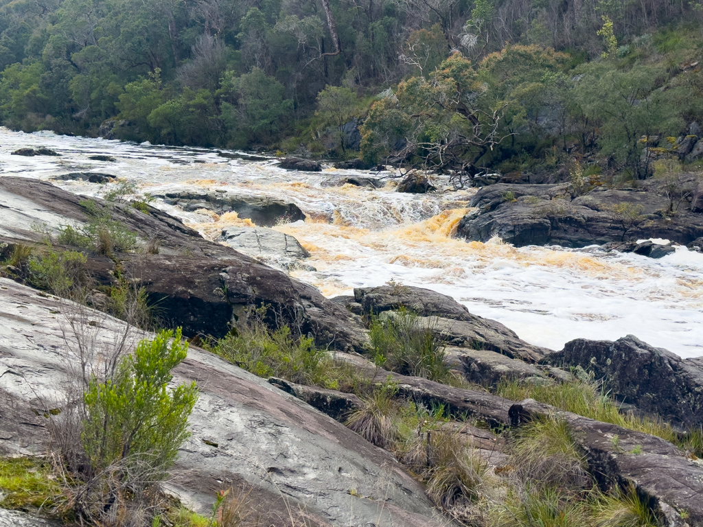Ockerfarbend fliesst der schäumende Frankland River an uns vorbei