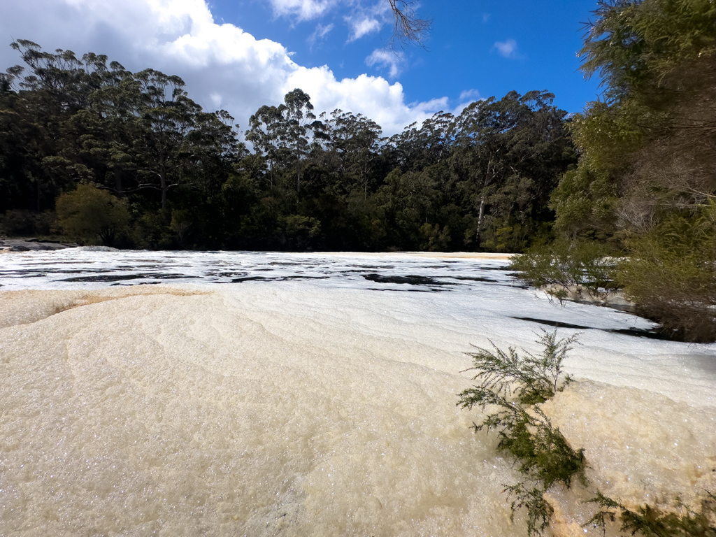 Ein dichter Schaumteppich bedeckt das ruhigere Wasser des Frankland Rivers