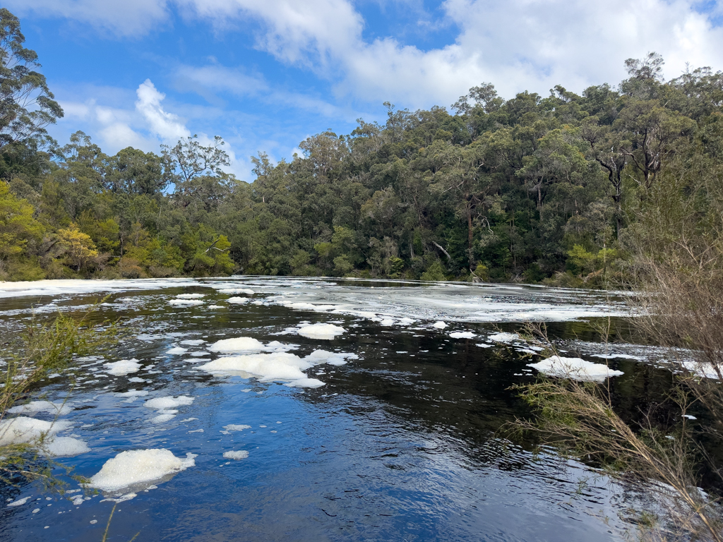 Ein dichter Schaumteppich bedeckt das ruhigere Wasser des Frankland Rivers