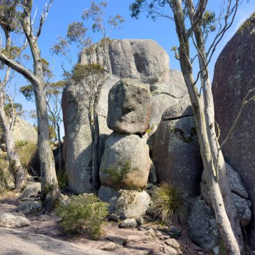 Castle Rock & Granite Skywalk