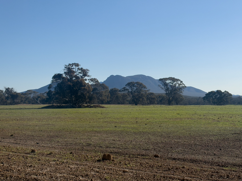Hinterm Campground sind die Stirling Ranges ganz nah zu sehen