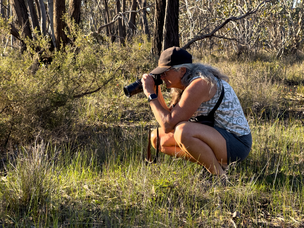 Ma beim Fotografieren von Orchideen