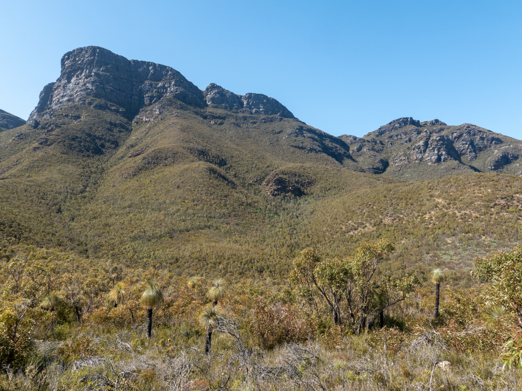 Vom Parkplatz aus liegt Bluff Knoll vor uns