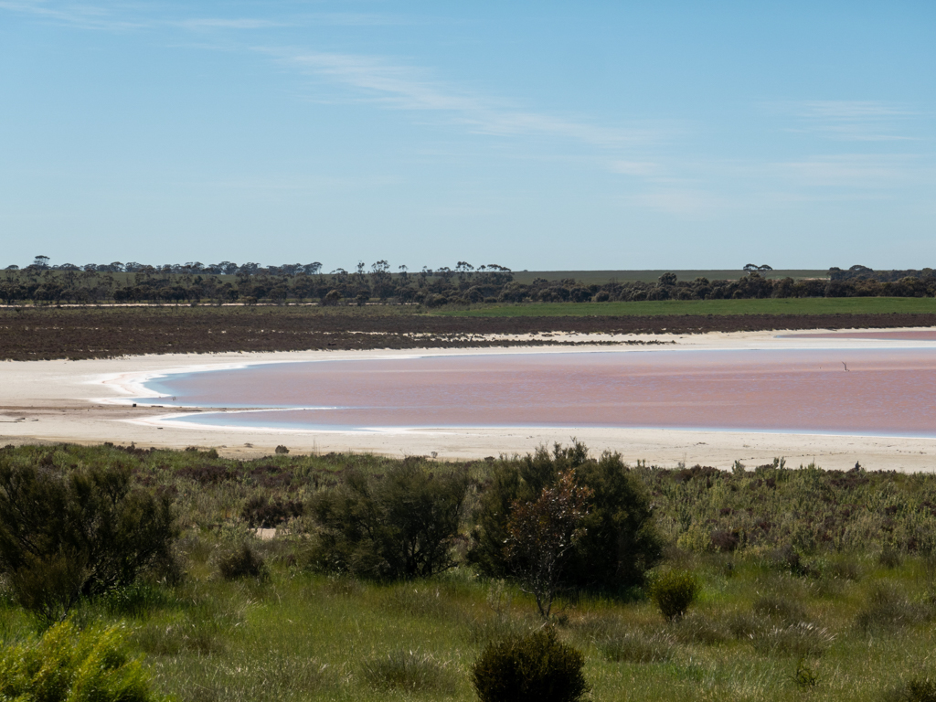 Auch dieser Salzsee schimmert uns in pink im Sonnenlicht entgegen