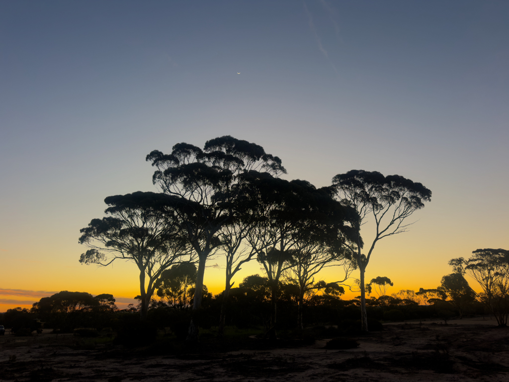 Der Abend senkt sich über den Campground - der Himmel nimmt eine romantische Stimmung an