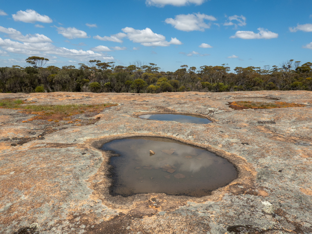 Grössere und kleinere Rock Pools auf dem Wave Rock