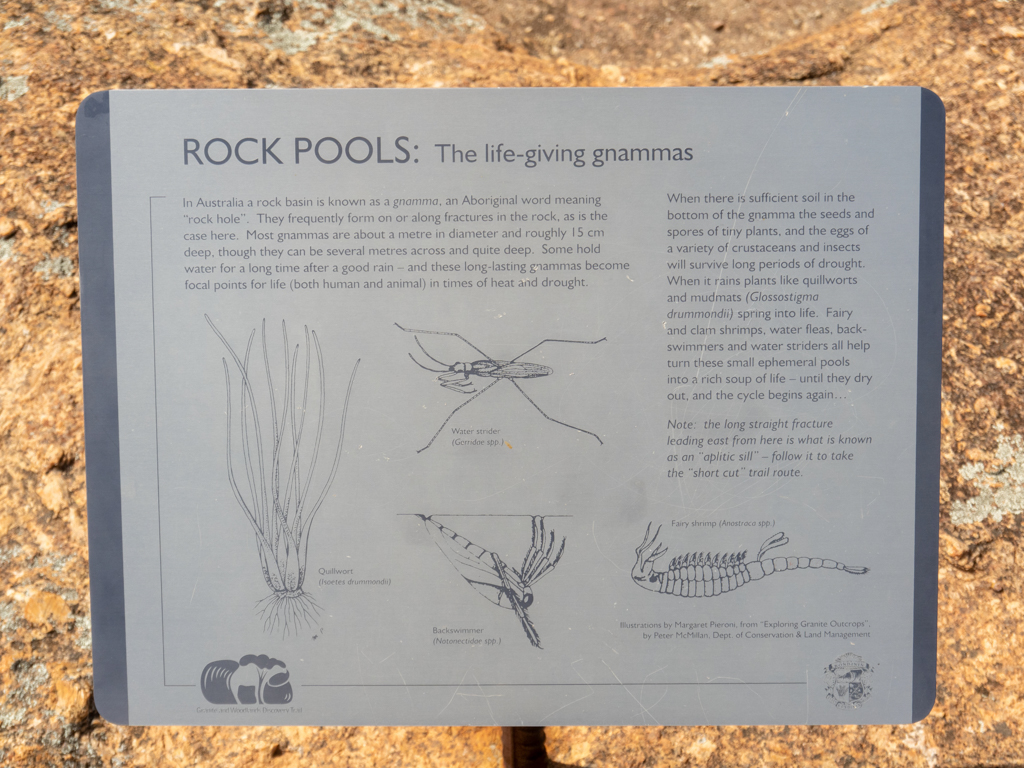 Erklärungstafel zu den Rock Pools, wie dort Leben entsteht