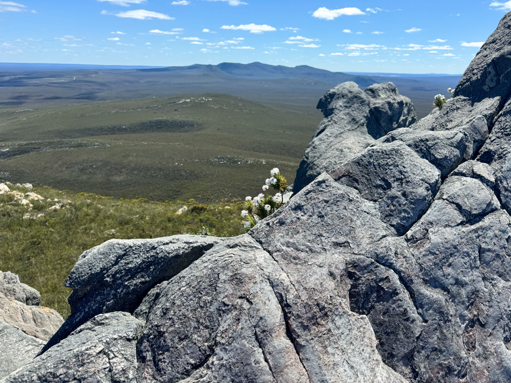 Aussicht vom East Mount Barren auf die nächsten Berge im Landesinneren