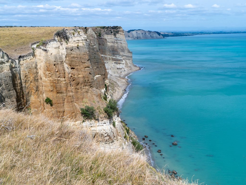Die steilen, bis zu 105m hohen Kreidefelsen der Küste am Kidnappers Cape