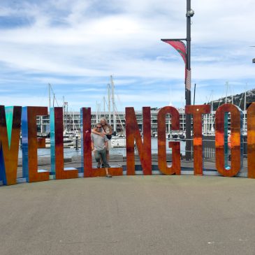 Wellington – coolest little capital in the world