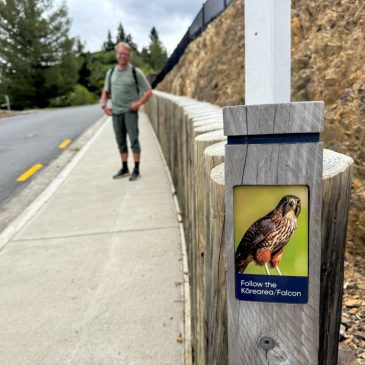 Ausflug nach Hanmer Springs