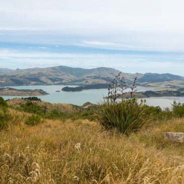 Christchurch: Summit Road & Botanischer Garten