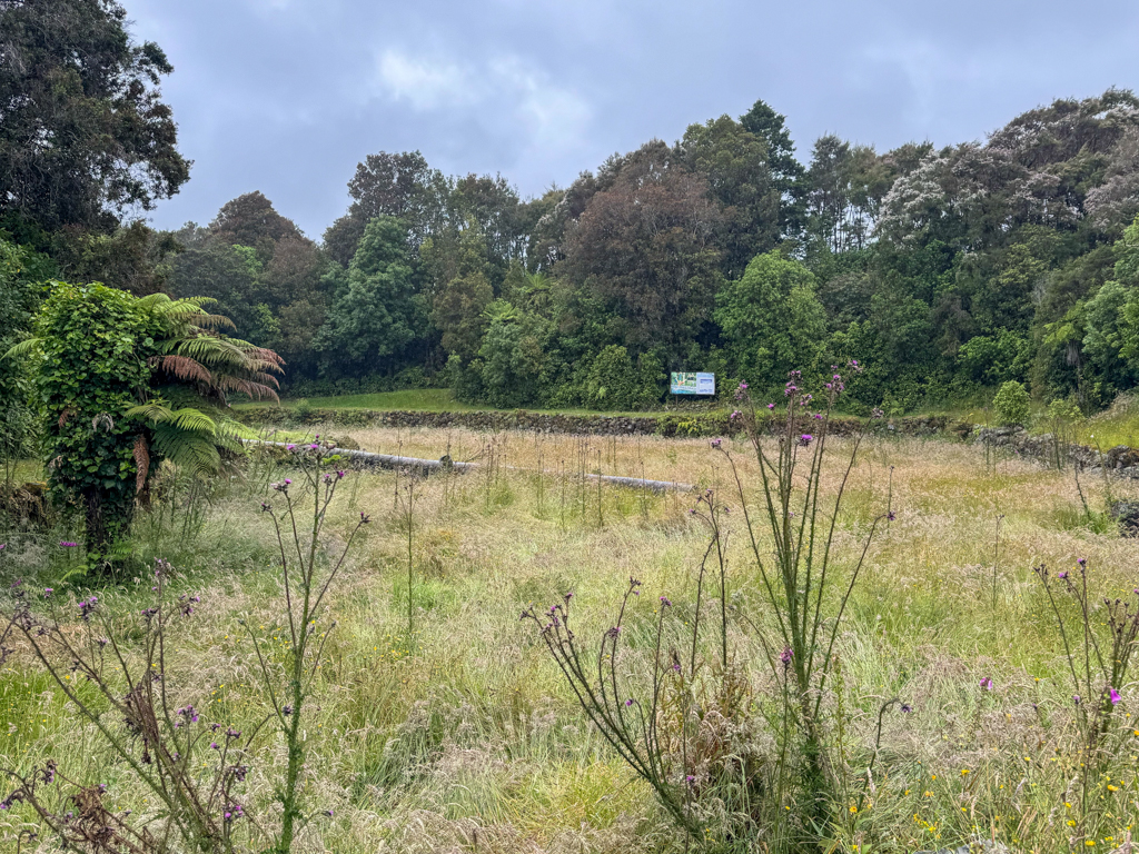 Historische Schwimmbäder bei Kumara