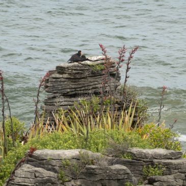Pancake Rocks in Punakaiki