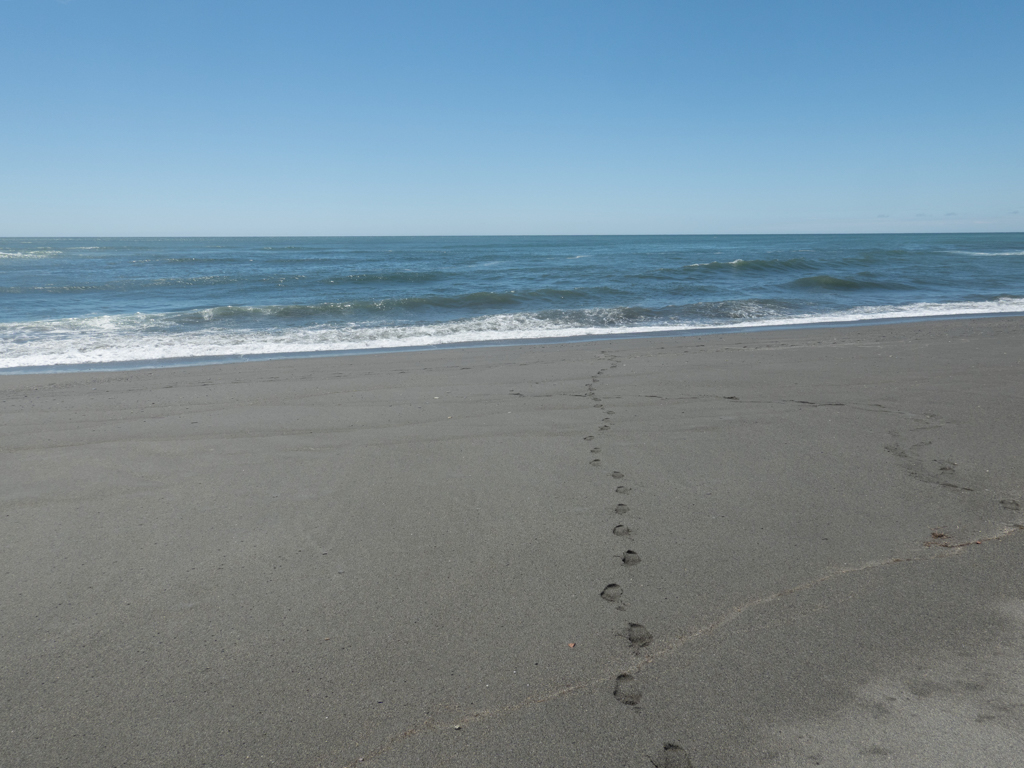 Strandwanderung bei Hokitika