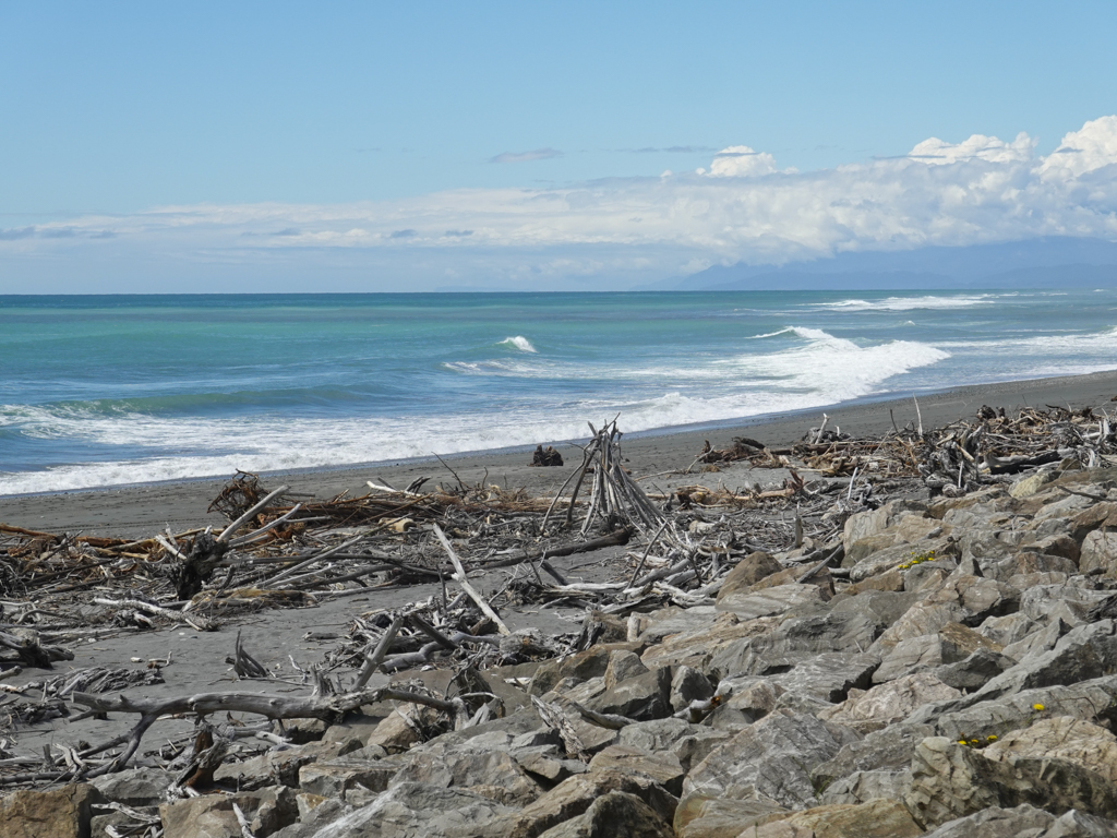 Die Schwemmholz übersäte Küste bei Hokitika