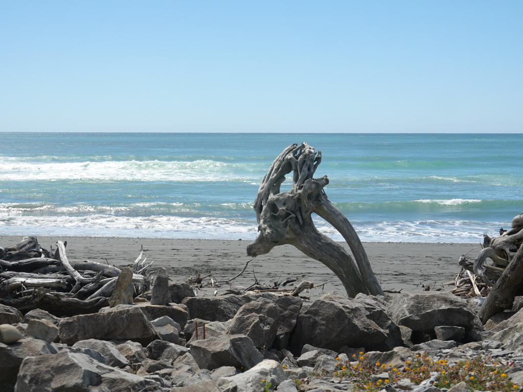 Naturholzkunst an der Beach von Hokitika
