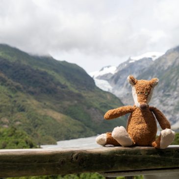Franz Josef Gletscher & Okarito Trig Walk