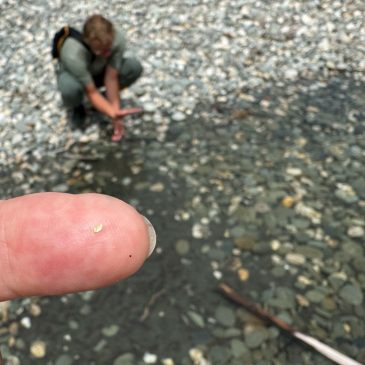 Wanderlust & Goldgräberstimmung