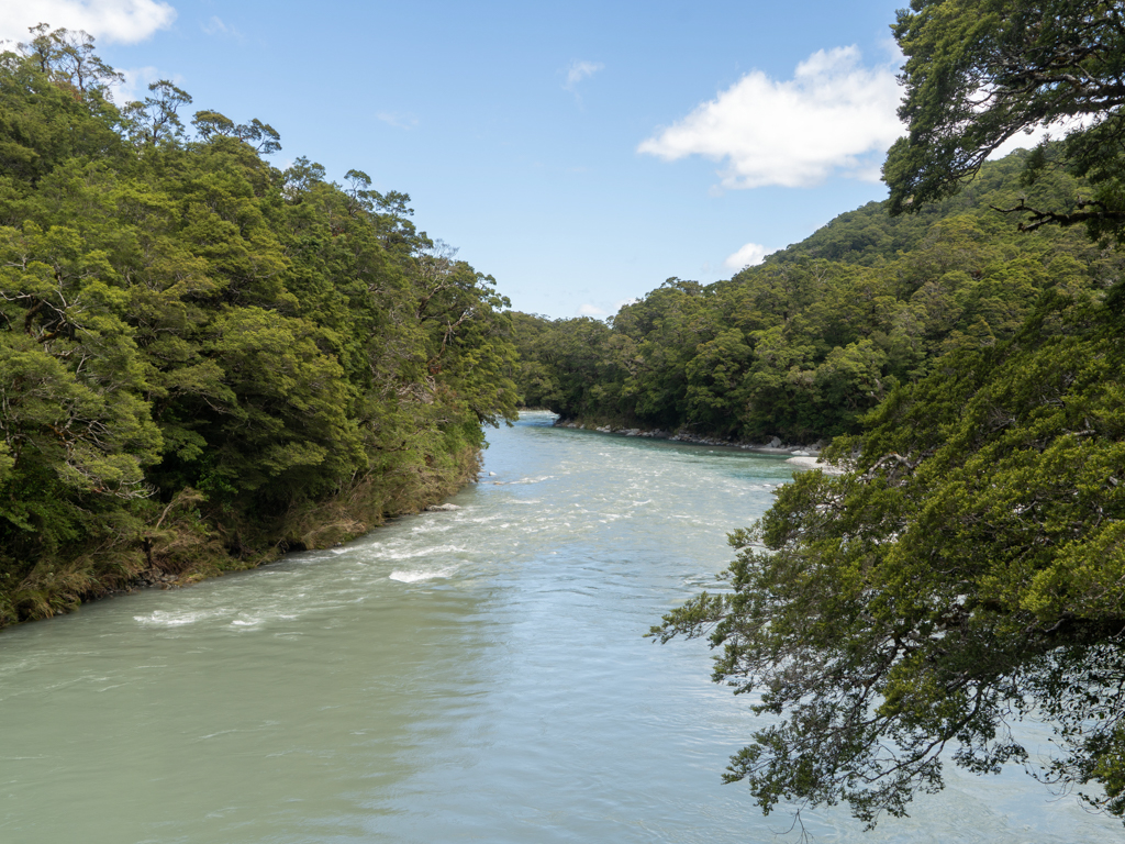 Der Blue River fliesst bei den Blue Pools in den Haast River