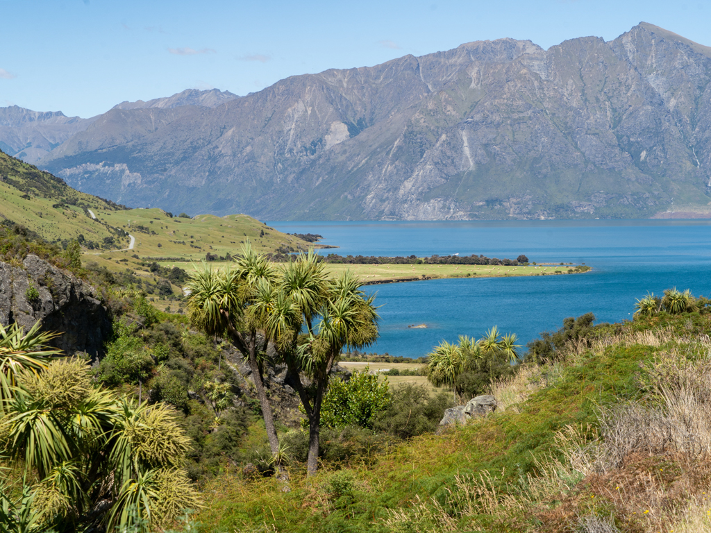 Die helle grüne Landzunge ist unser Campground: Kidds Bush Reserve am Lake Hāwea