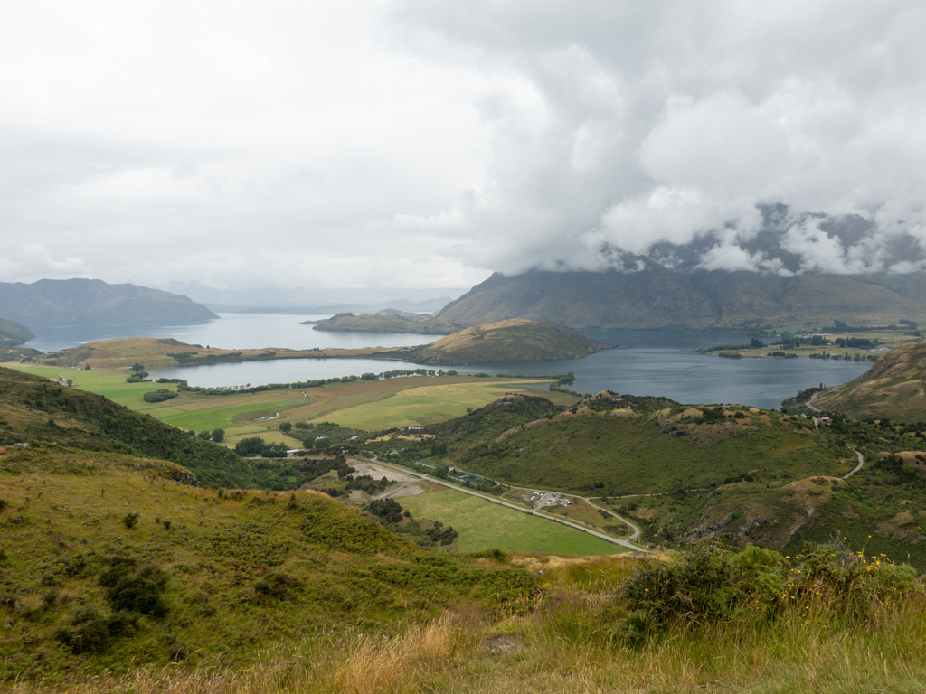 Auch hier sehen wir eine Baumreihe im Wasser des Lake Wanaka stehen