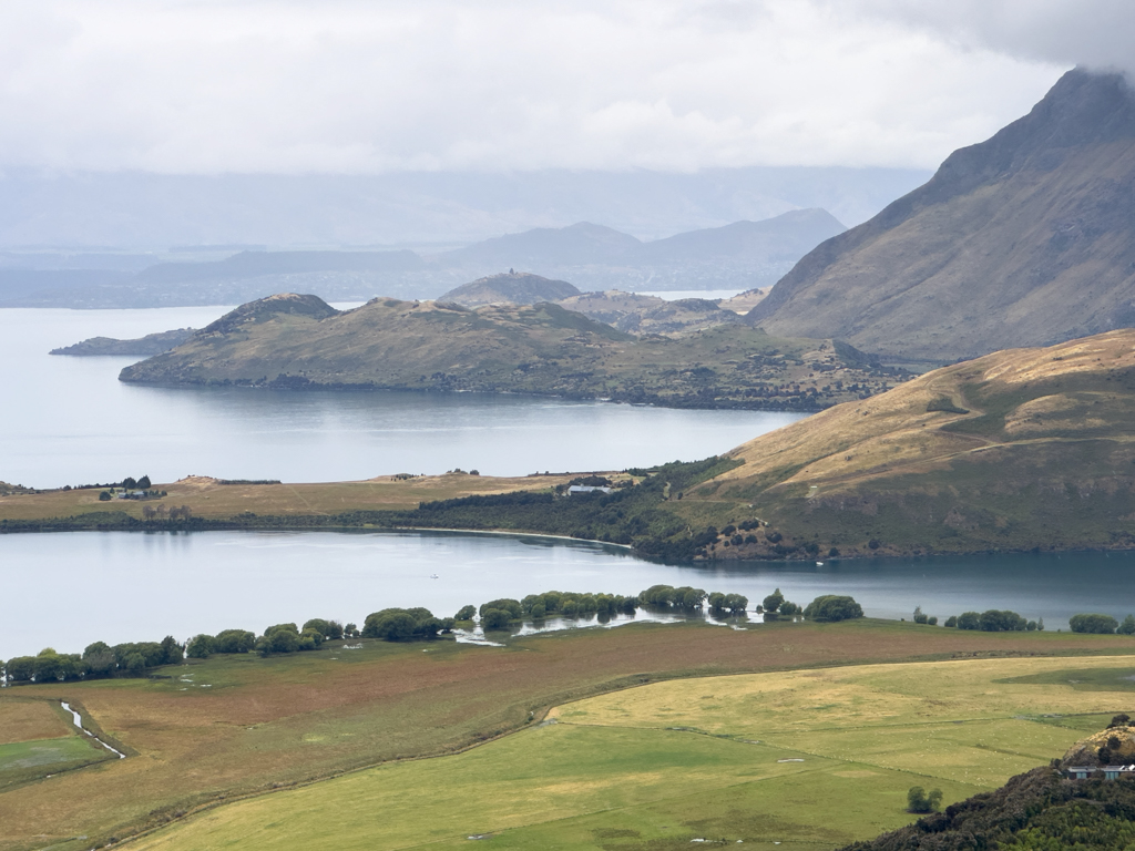 Auch hier stehen Bäume im Wasser des Lake Wanaka.
