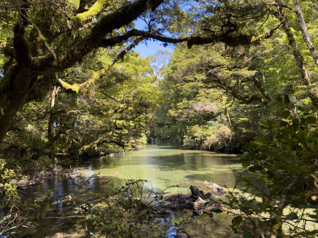 Abfluss aus dem Lake Gunn