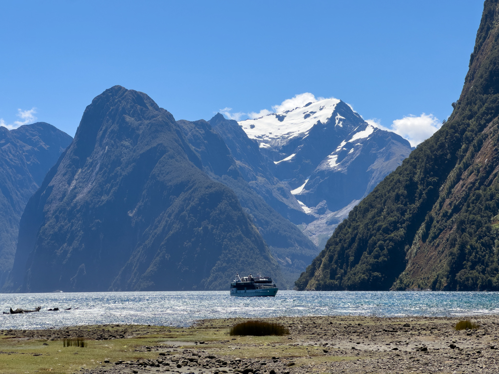 Oben am Berg am Milford Sound liegt noch Schnee oder Gletscher