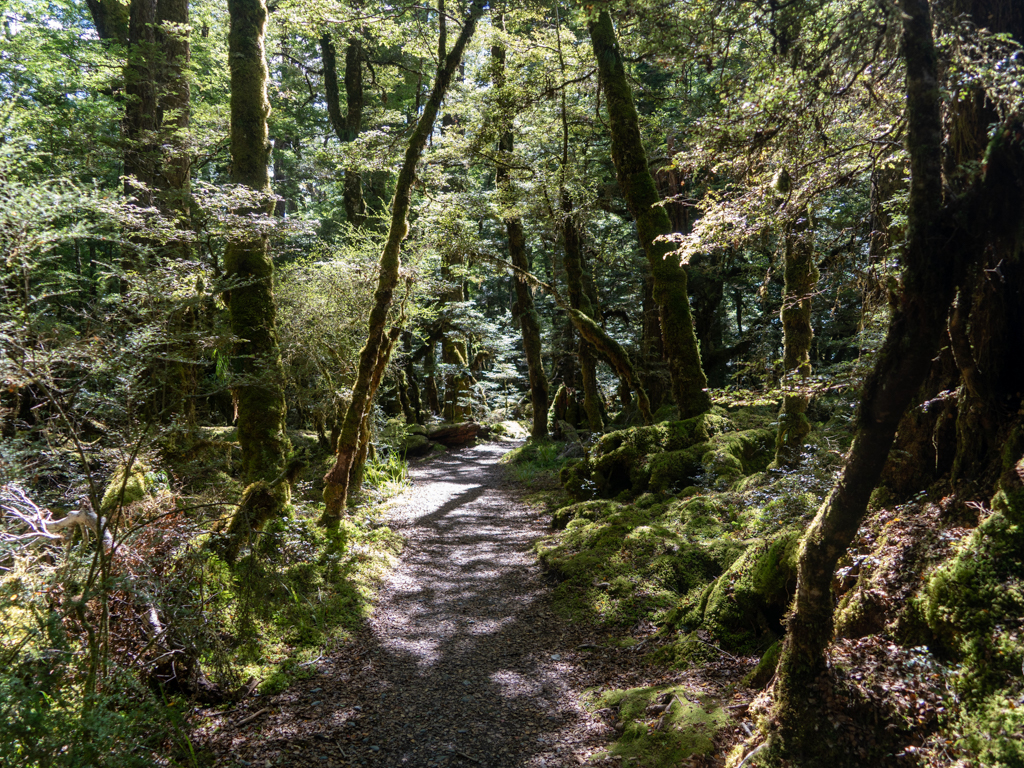 Auf dem Gunn Nature Walk unterwegs
