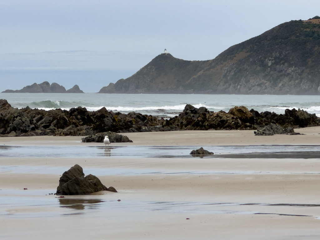 Schon von weitem ist der Nugget Point gut zu sehen
