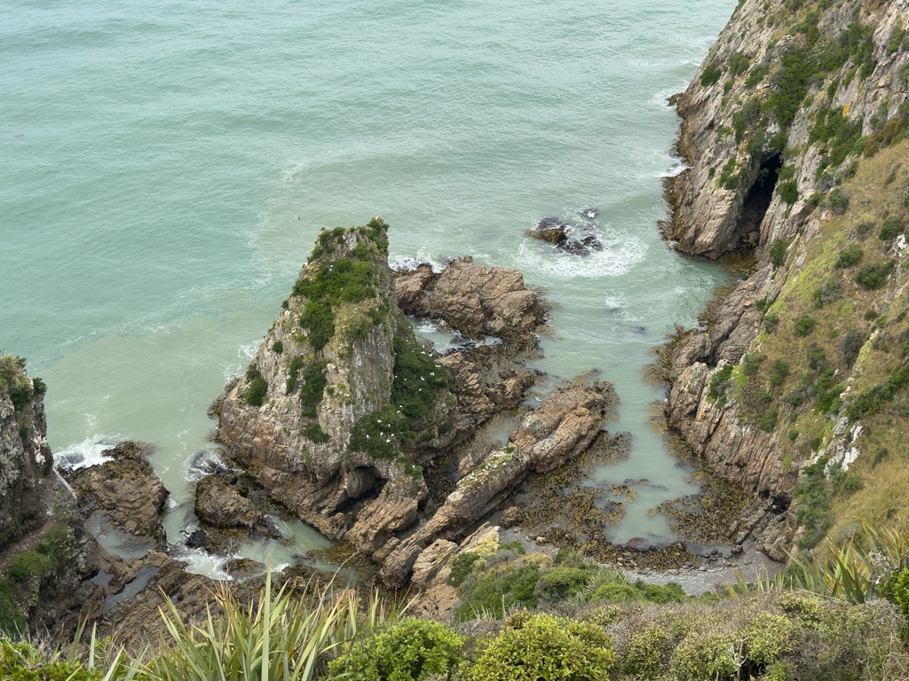 Auf dem Weg zum Nugget Point brüten Löffler auf einem Felsen