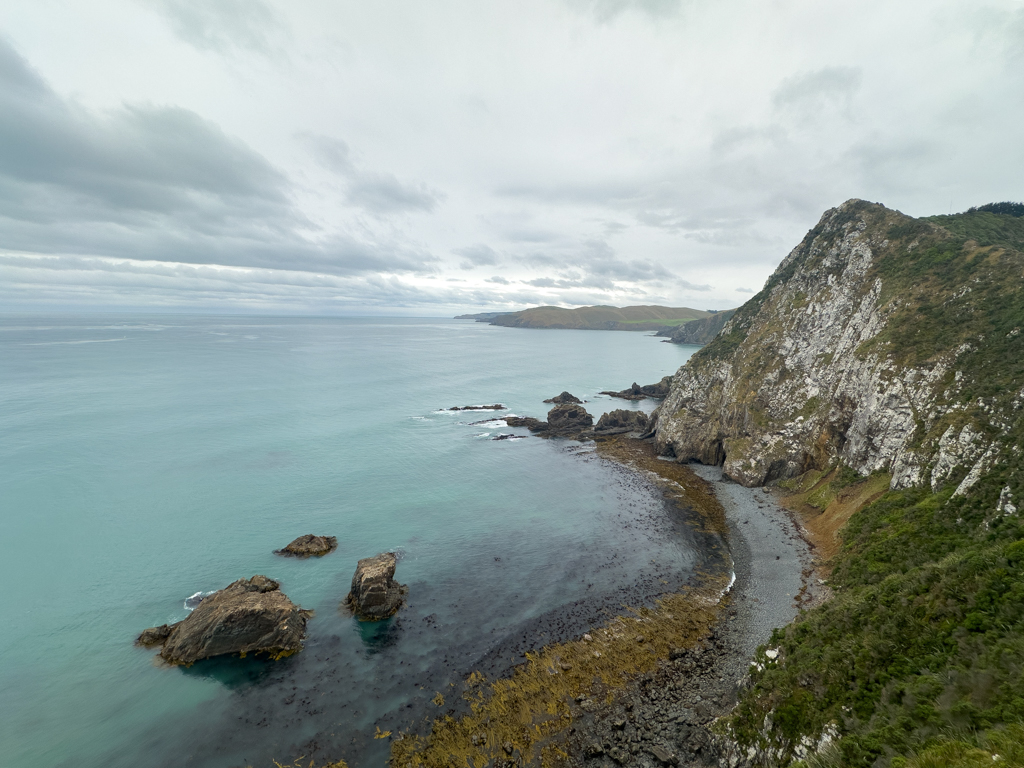 Die steile Ostküste am Nugget Point