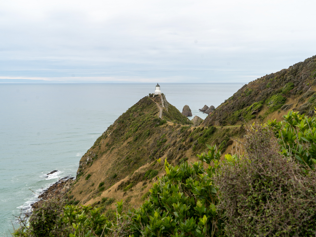Auf dem Fussweg, der am Nugget Point Lighthouse endet