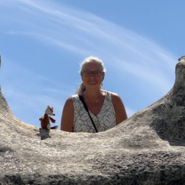 Elephant Rocks & Valley of the Whales