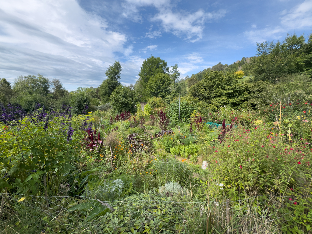 Ein wahrlich paradiesischer Garten
