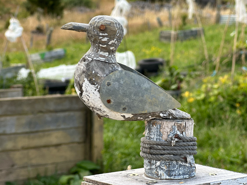Kleine Möwenskulptur aus Holz