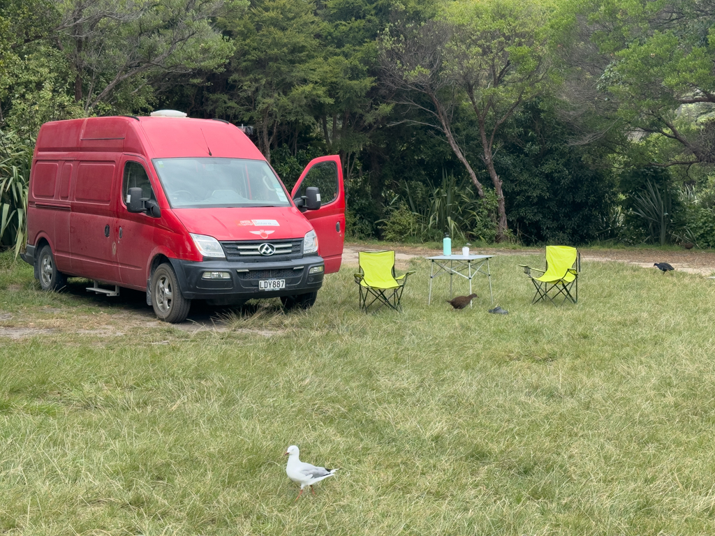 Zeltplatz an der Totaranui Beach im Abel Tasman N.P.: Mit Pukekos, Wekas und Möwen