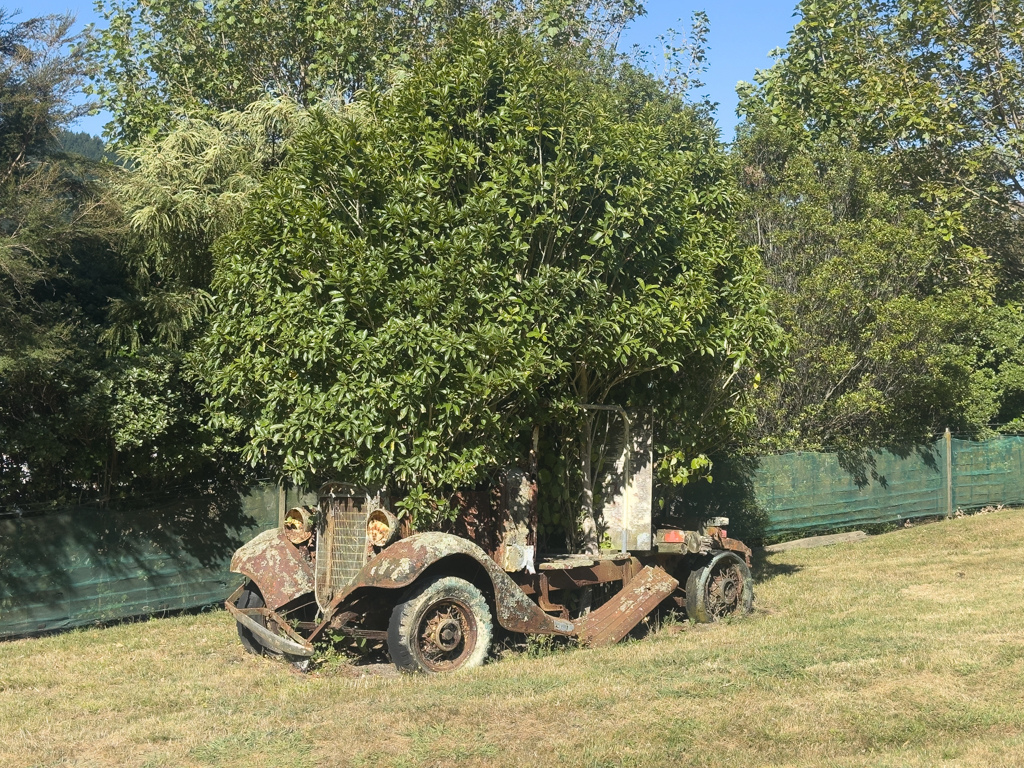 Oldtimer im Campground; vor 10 Jahren war er noch nicht zugewachsen...