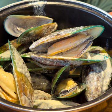 Ōkiwi Bay & Havelock im Marlborough Sound