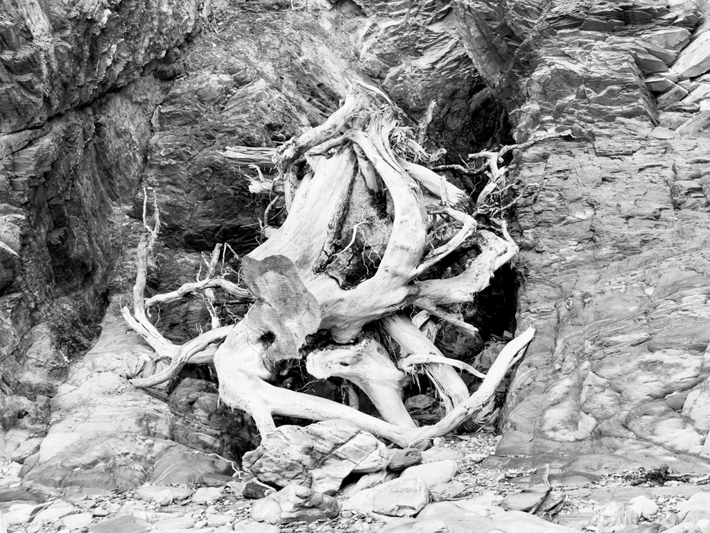 SW Stilleben an der felsigen Küste der Ōkiwi Bay