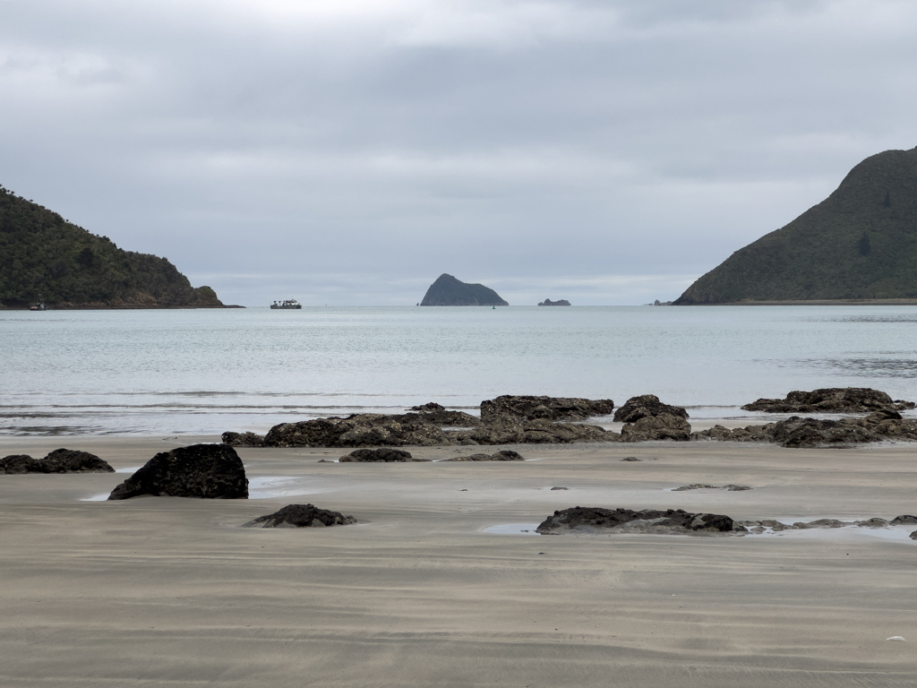 Der leere Strand der Ōkiwi Bay bei Ebbe