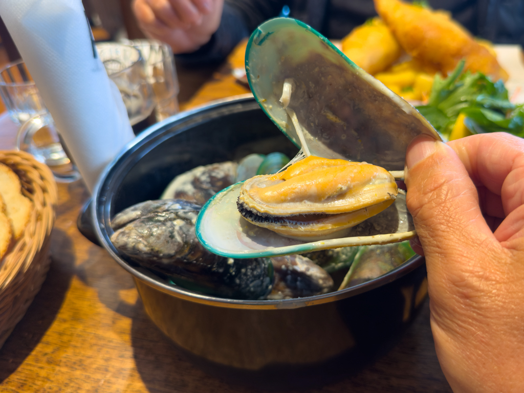 Die sind wirklich riesig, die Greenlip Mussels :-)