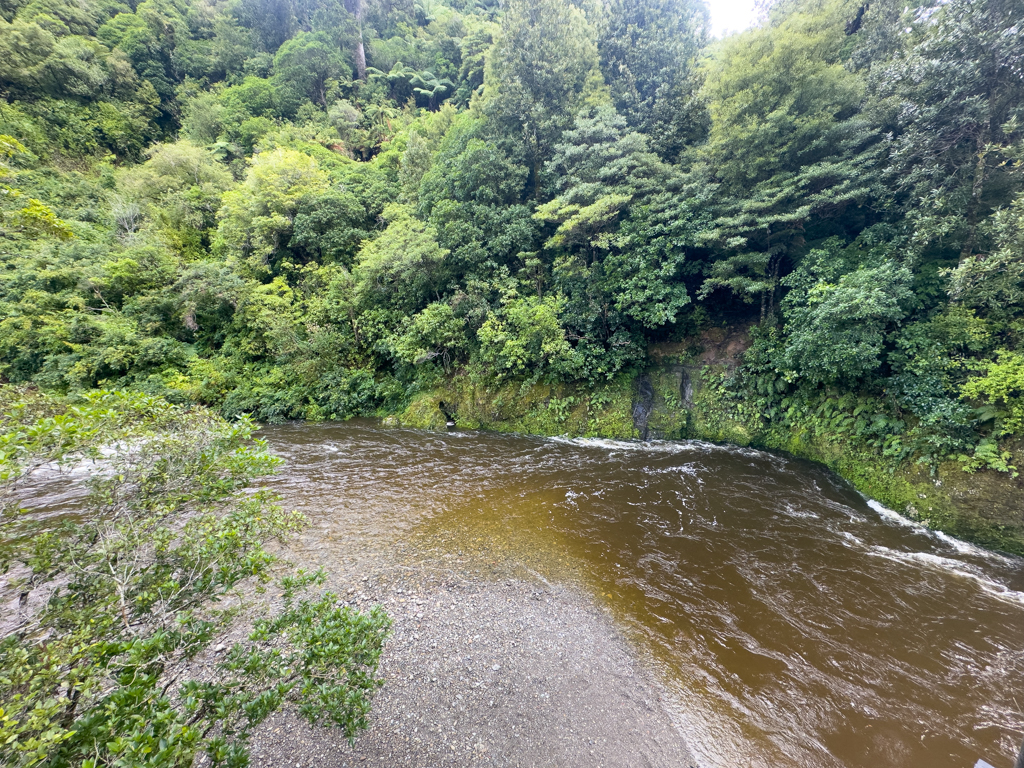 Schnell fliesst der Pakuratahi River durch die grüne Landschaft
