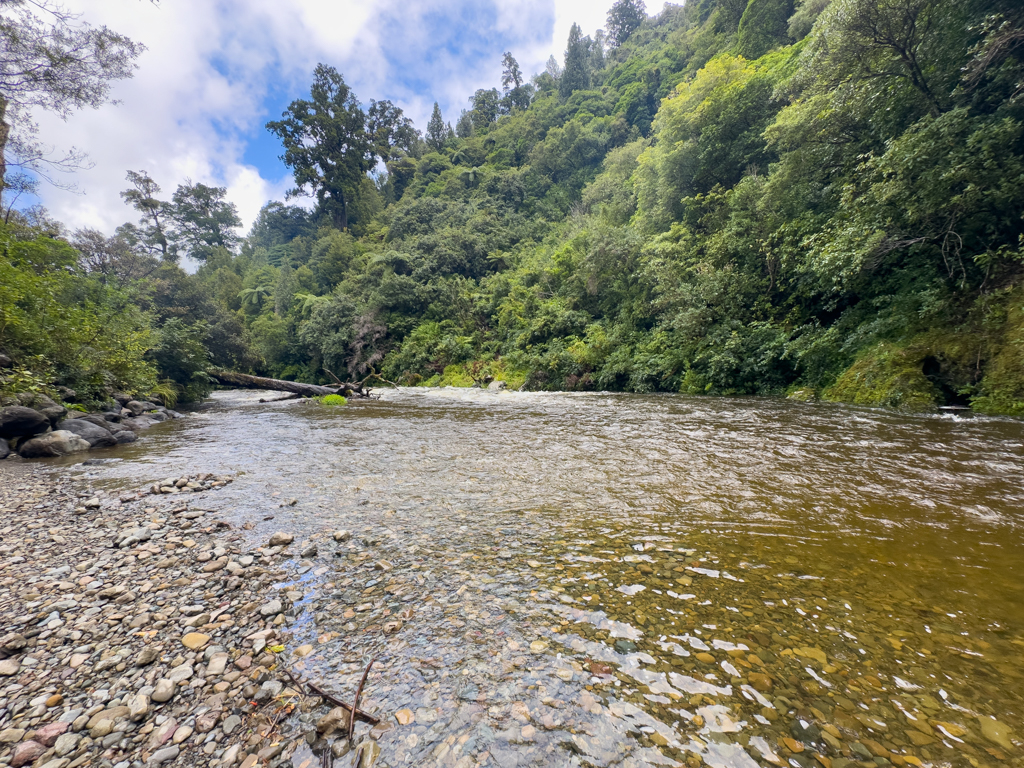 Schnell fliesst der Pakuratahi River durch die grüne Landschaft